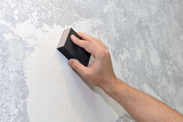 Mold Removal for HVAC Installations in La Conner, WA
