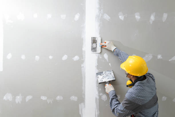 Best Real Estate Mold Inspection  in La Conner, WA
