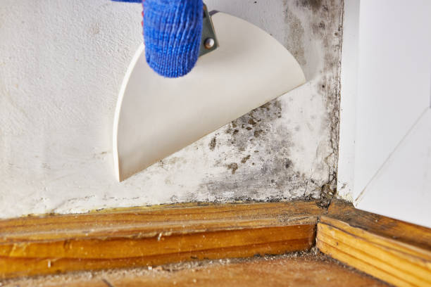 Best Indoor Air Quality Assessment  in La Conner, WA