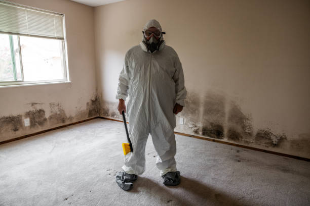 La Conner, WA Mold Removal Company