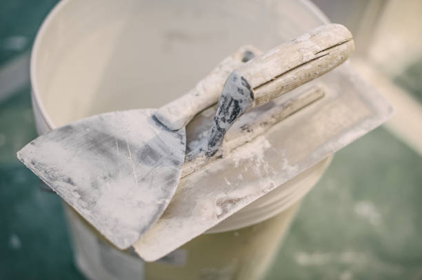 Best Mold-Related Health Consultation  in La Conner, WA