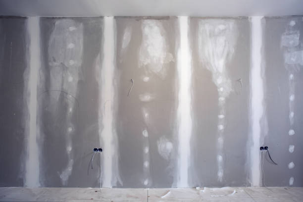 Best Mold Damage Restoration  in La Conner, WA